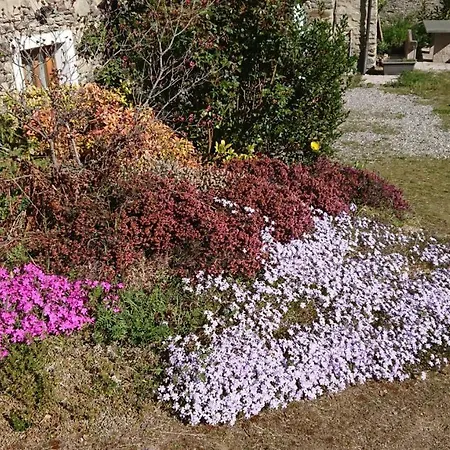 Casa Delle Rose * Teglio
