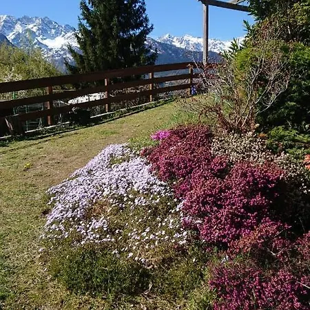 Casa Delle Rose Σπίτι διακοπών