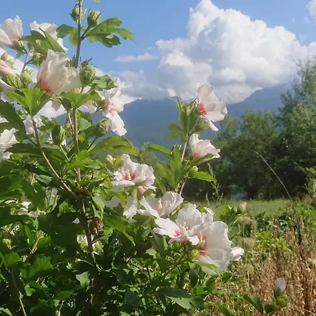 Σπίτι διακοπών Casa Delle Rose *