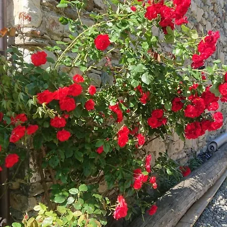 Casa Delle Rose Σπίτι διακοπών Teglio