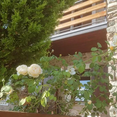 Casa Delle Rose * Teglio