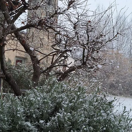 Casa Delle Rose *
