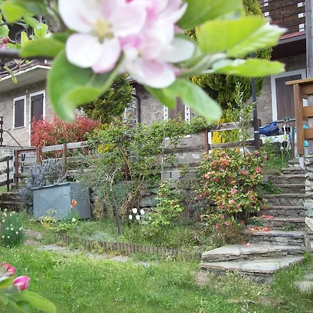Casa Delle Rose Σπίτι διακοπών Teglio