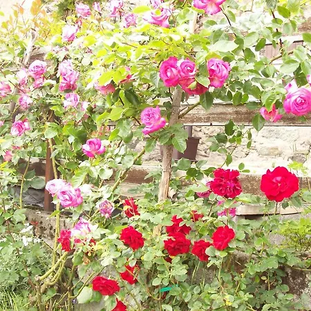 Casa Delle Rose * Teglio