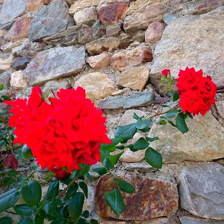 Σπίτι διακοπών Casa Delle Rose *