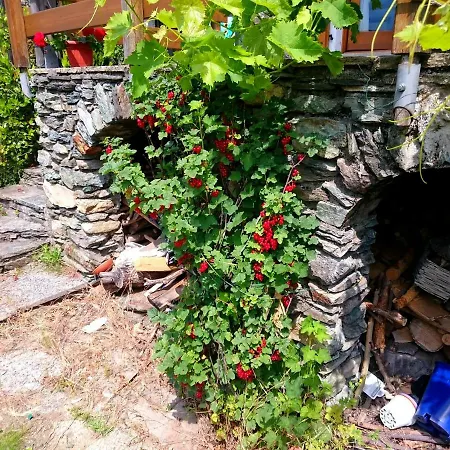 Casa Delle Rose *